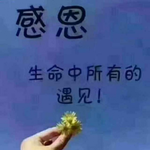 二手闲置（勇往直前）